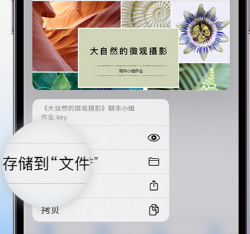 清涧apple维修中心分享iPhone文件应用中存储和找到下载文件