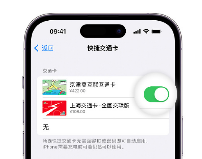 清涧apple维修点分享iPhone上更换Apple Pay快捷交通卡手绘卡面 