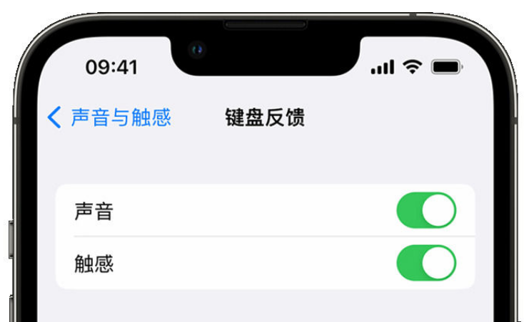 清涧苹果手机维修分享iPhone 14触感键盘使用方法 