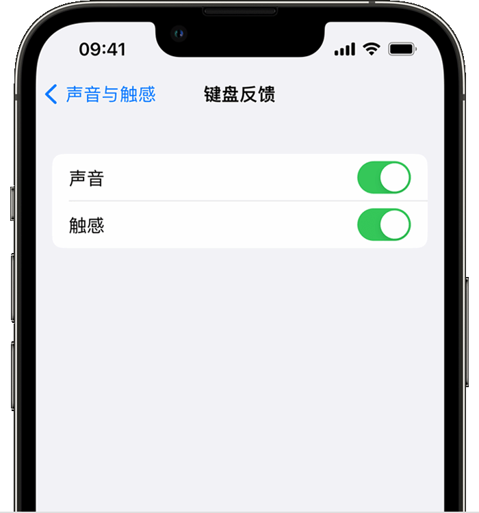 清涧苹果14维修店分享如何在 iPhone 14 机型中使用触感键盘 