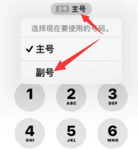 清涧苹果14维修店分享iPhone 14 Pro Max使用副卡打电话的方法 