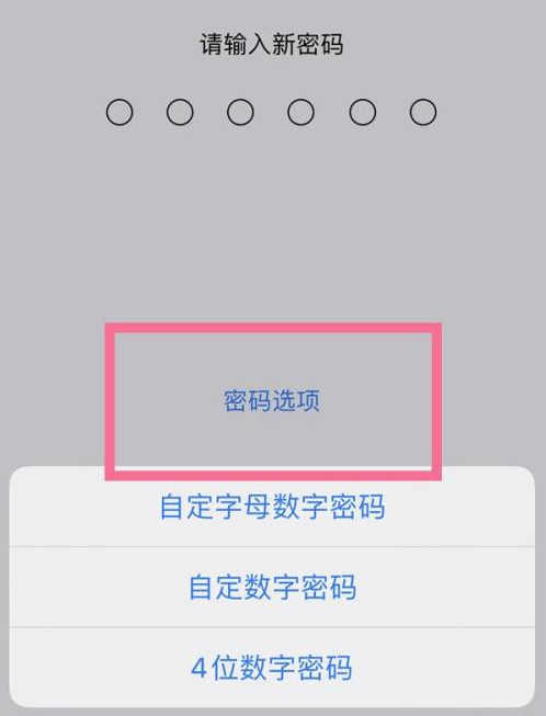 清涧苹果14维修分享iPhone 14plus设置密码的方法 