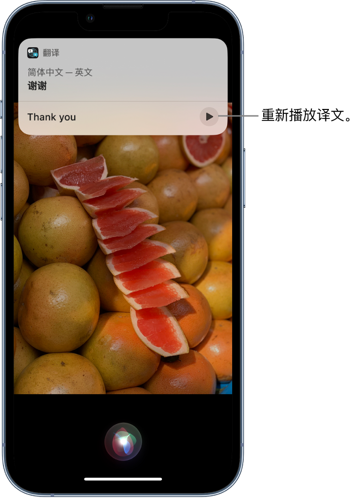 清涧苹果14维修分享 iPhone 14 机型中使用 Siri：了解 Siri 能帮你做什么 