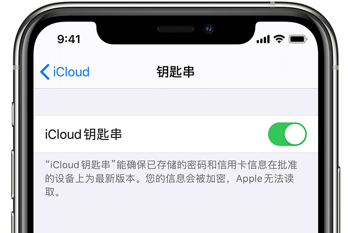 清涧苹果手机维修分享在 iPhone 上开启 iCloud 钥匙串之后会储存哪些信息 